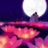 Moonflower3
